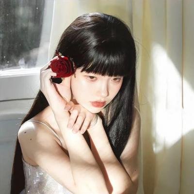 美食总动员